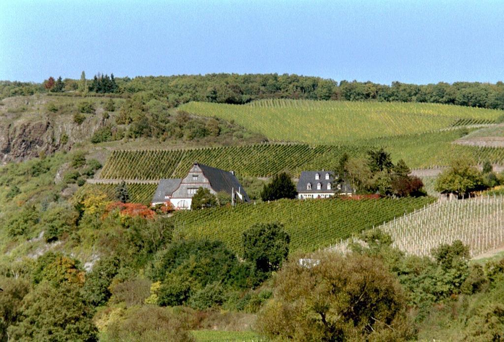 Gut Hermannsberg, Gaestehaus Niederhausen Εξωτερικό φωτογραφία